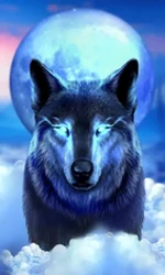 Night Wolf - Frozen Flame
